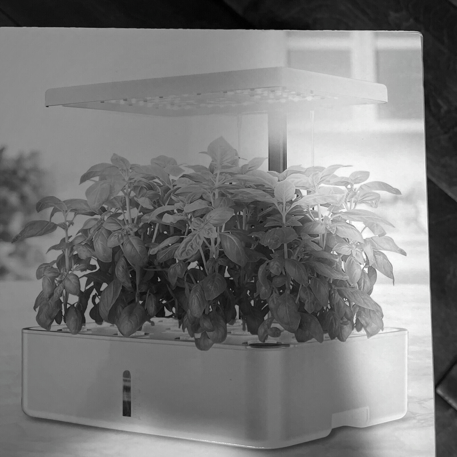 smart planter