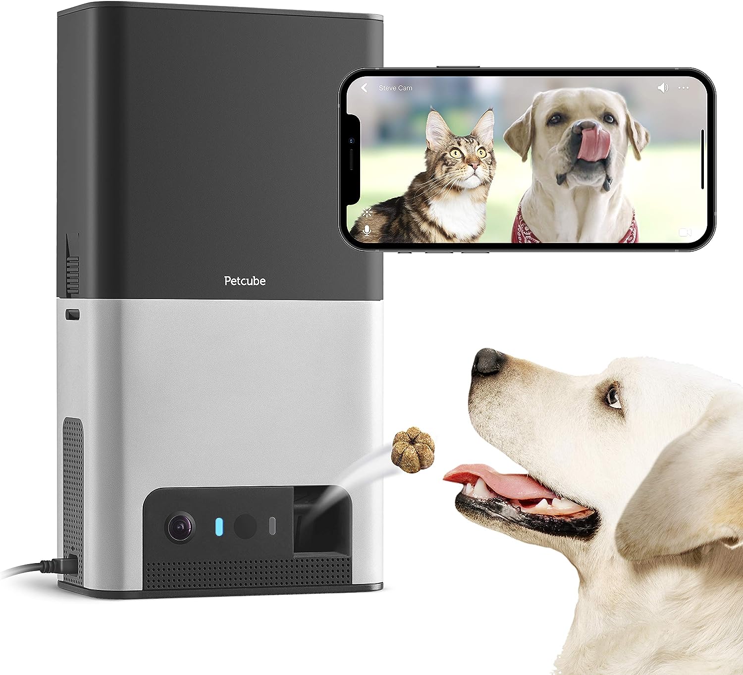 pet feeder camera